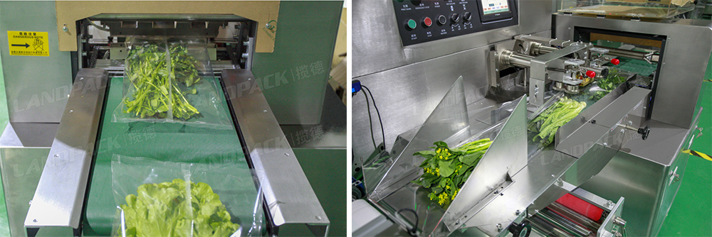 What are the characteristics of the vegetable packaging machine?cid=48