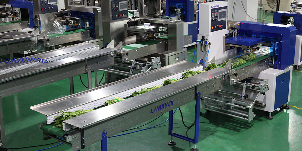 Why The market development needs of Vegetable Packaging Machine?cid=48