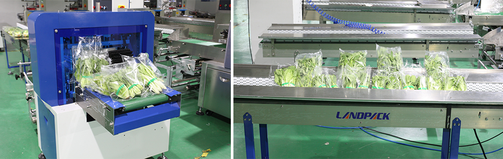 Why The market development needs of Vegetable Packaging Machine?cid=48