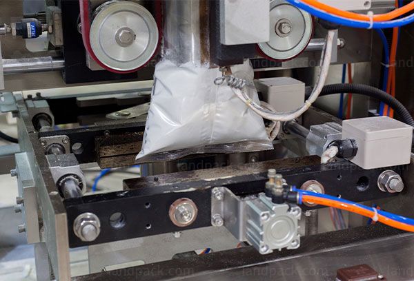 detergent powder filling packing machine