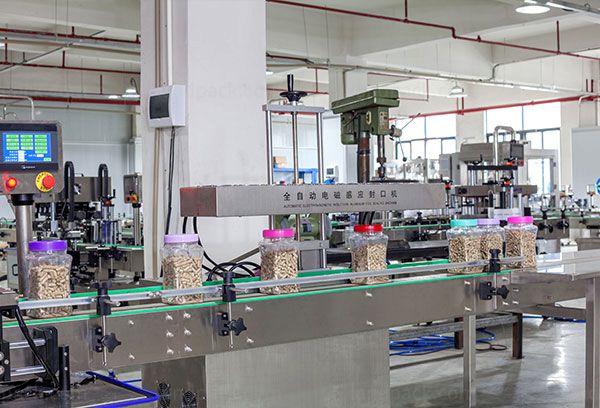 automatic nuts packing machine