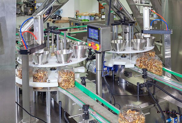 cashew nut packing machine price