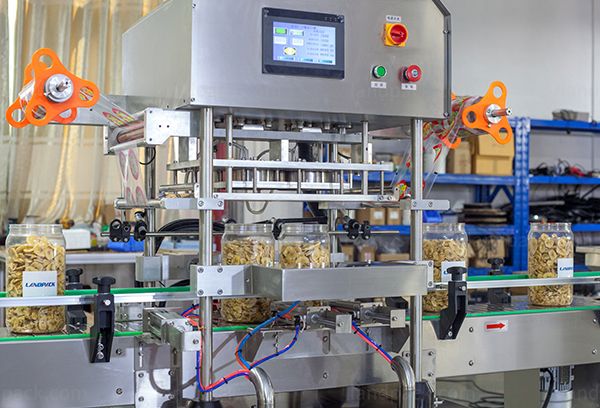 vacuum packing machine for dry fruit