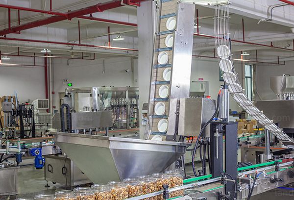 dry fruits packing machine price