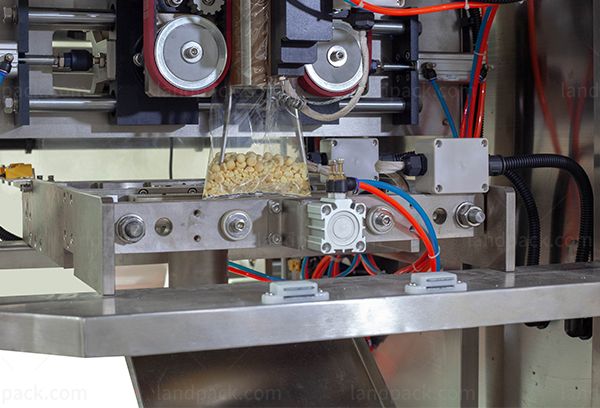 automatic dry fruits packing machine