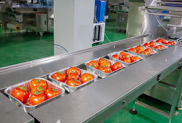 vegetable packaging machine