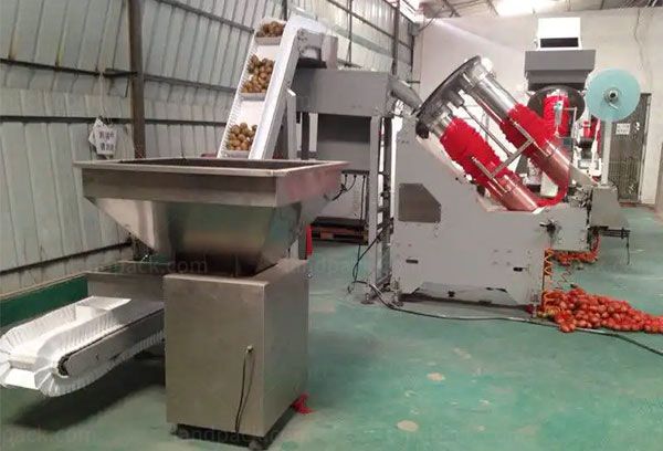 net bag packing machine