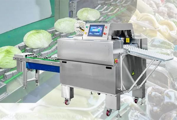 vegetable packing machine