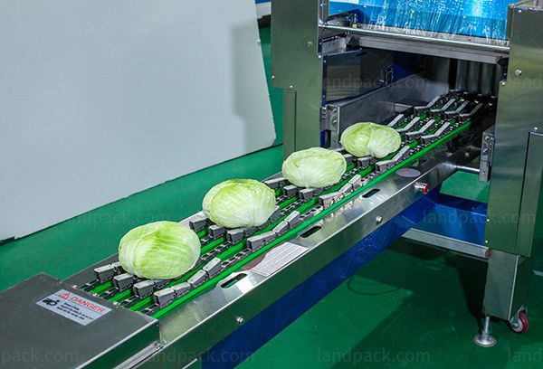 onion packing machine