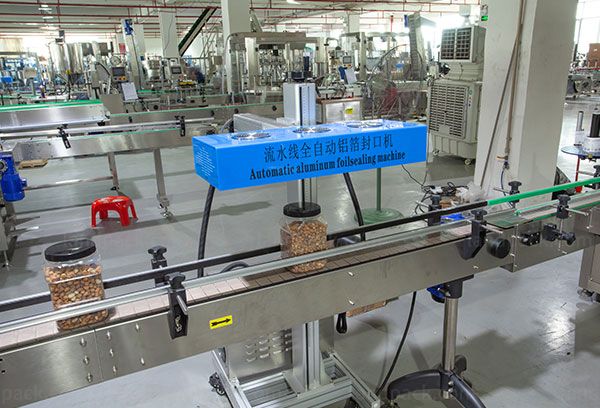 tamarind packing machine