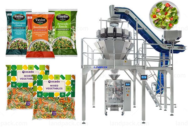 dry food packing machine